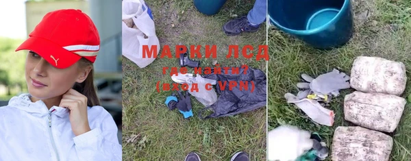 apvp Белокуриха