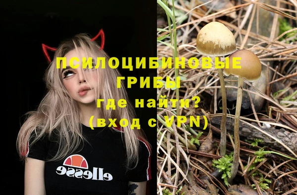 apvp Белокуриха