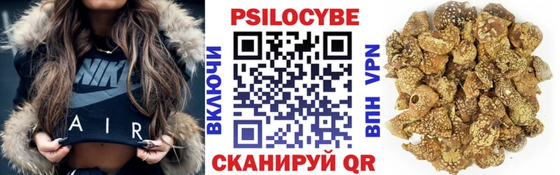 закладки  Можайск  Галлюциногенные грибы Psilocybine cubensis 